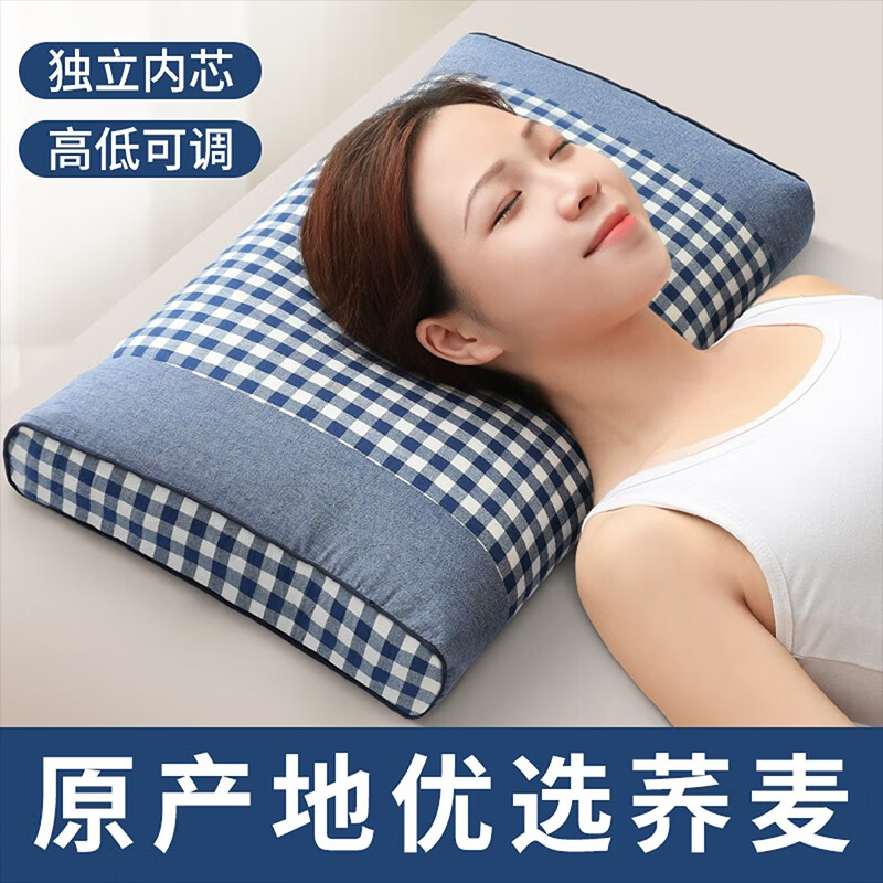 枕頭單人蕎麥皮深度全蕎麥殼枕芯男失眠女護(hù)頸蕎麥枕LL8 天空藍(lán) 單只裝