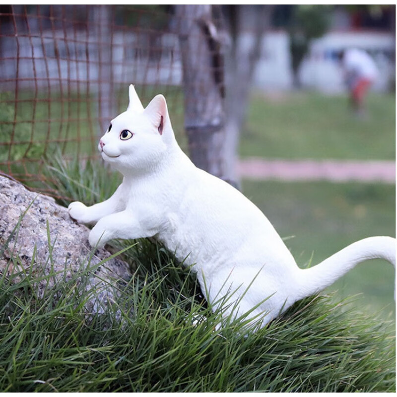 【北京可发】现货布偶猫人偶硬塑料波斯猫玩具白色棕色黄色布偶虎猫