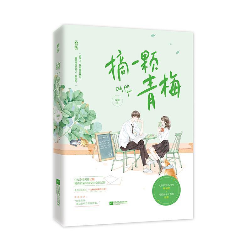 包邮：摘一颗青梅青春文学 岁图书