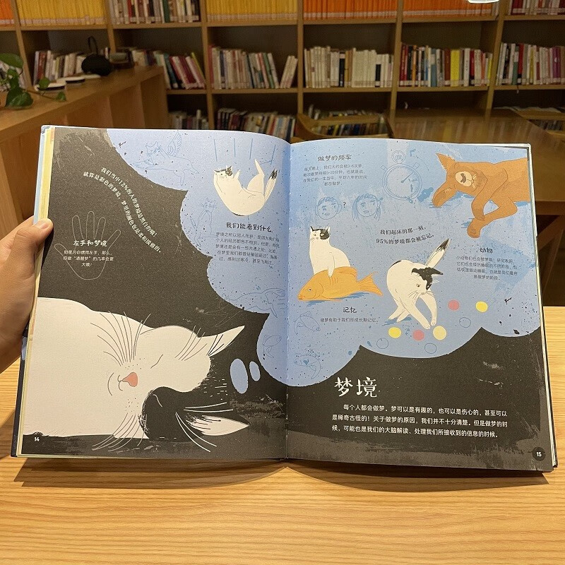 DK儿童睡眠小百科 课外读物寒假暑假  6-10岁小猛犸童书详情图