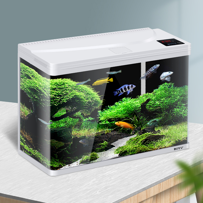 博宇(boyu)生态金鱼缸变色灯光水族箱 客厅桌面超白玻璃鱼缸办公室