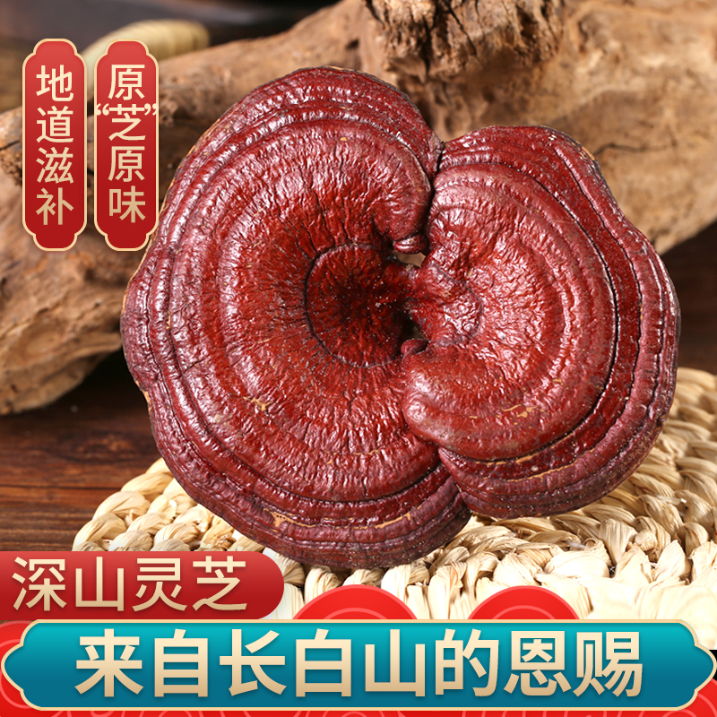 北京同仁堂紫灵芝赤灵芝500克正宗长白山半整枝灵芝可切片