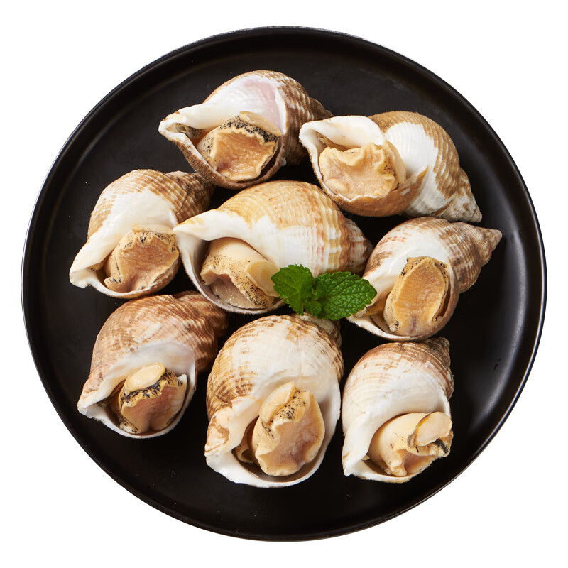 京东看贝类最低价|贝类价格走势图