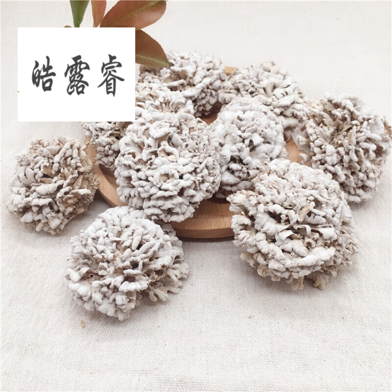 虎钢馋食用菌白参菌天山雪莲菌菇白莲菇雪莲菇干货100g