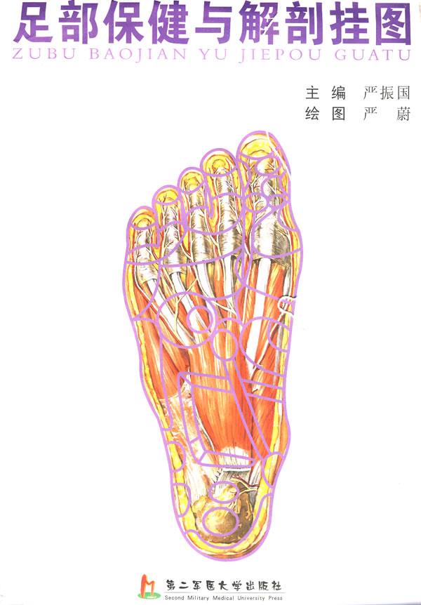 足部保健与解剖挂图 严振国 主编【正版书】