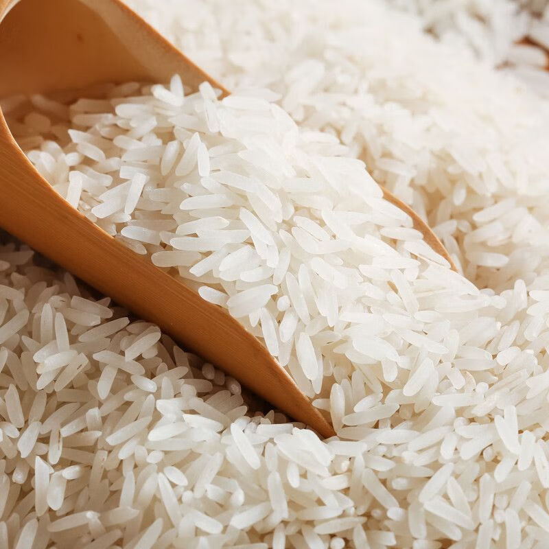 食喜运晚稻10斤大米京山特产桥米京山大米新米长粒香米农家正宗便宜