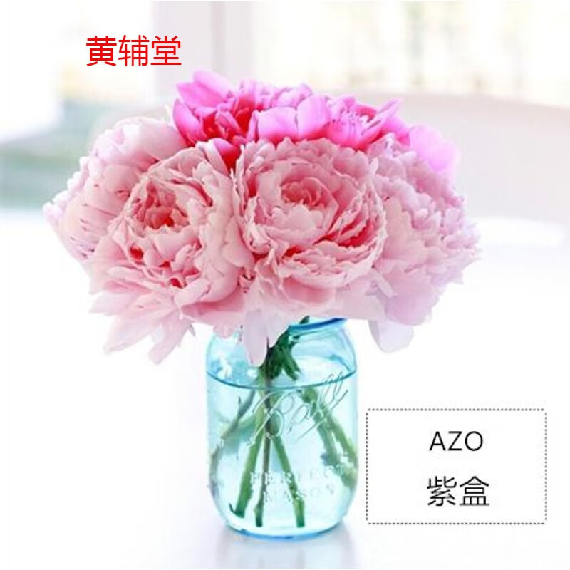 美国女性尿急尿频