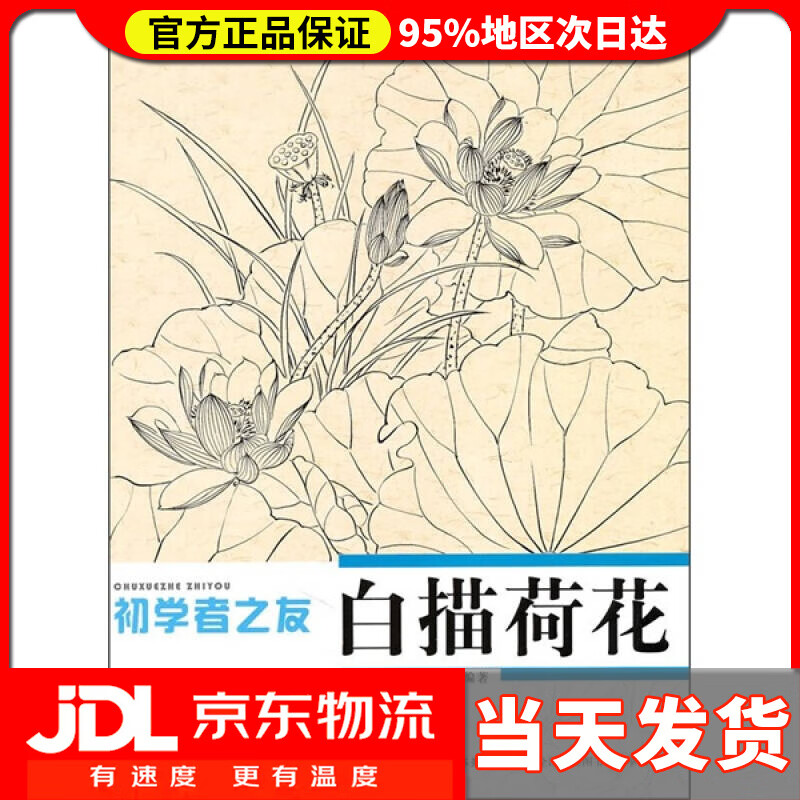 【送货上门】初学者之友 白描荷花