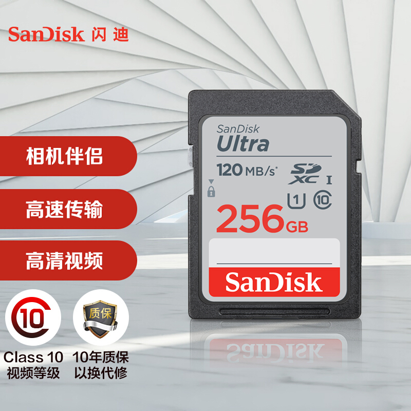 SanDisk256GBSDC10120MBs