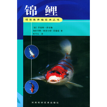 锦鲤【正版开发票】