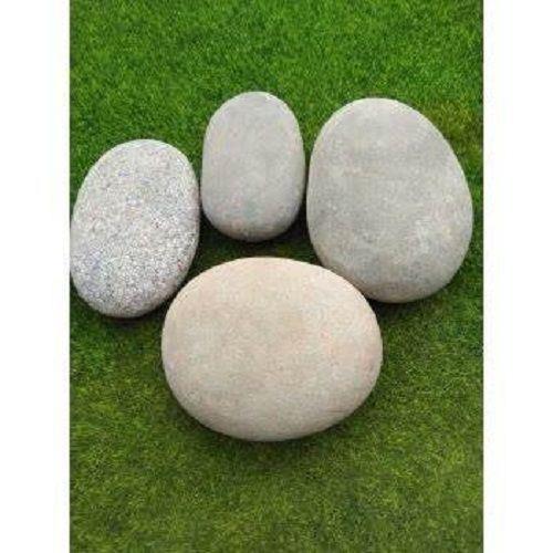 双张压酸菜石头腌泡菜石头乌龟晒台石专业绘画石鹅卵石大石头圆石头