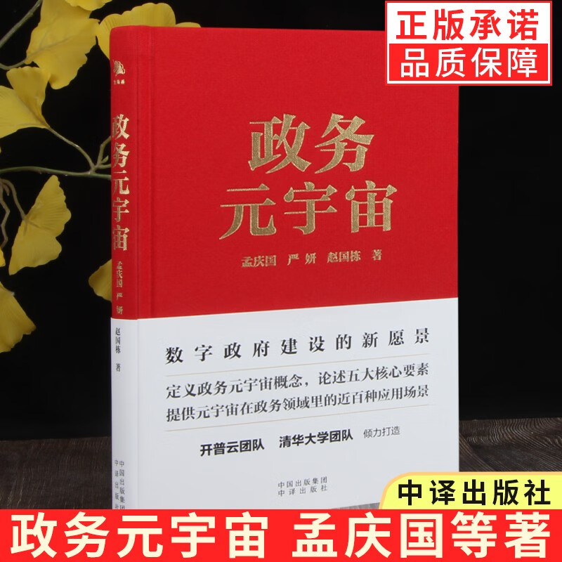 政务元宇宙：数字政府建设的新愿景 孟庆国 等 中译出版社
