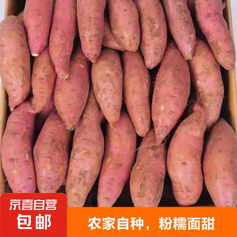 配图一