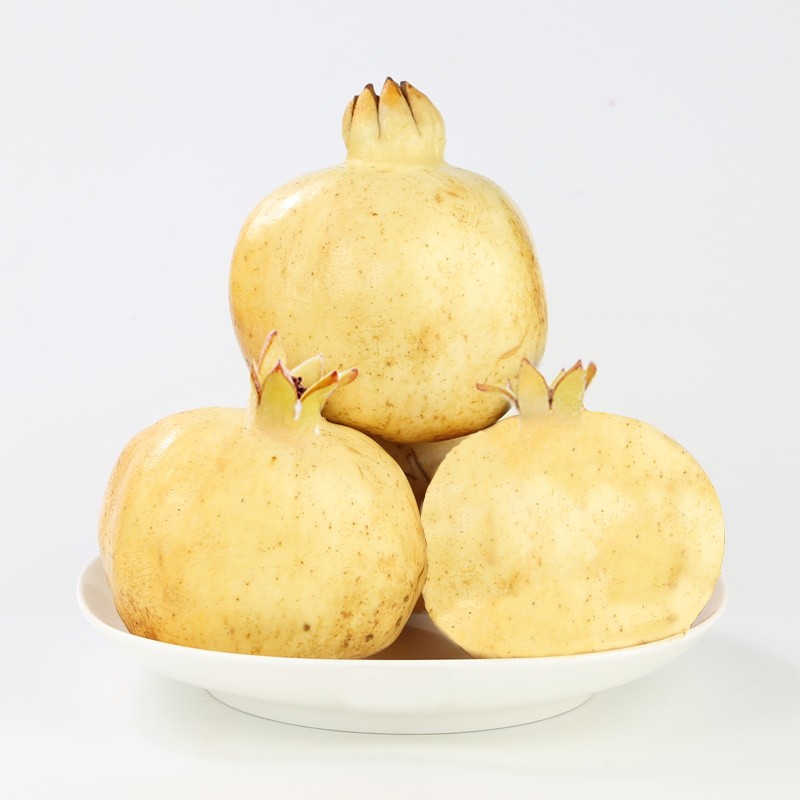 软籽石榴 白玉石籽石榴 吉祥果安徽怀远软