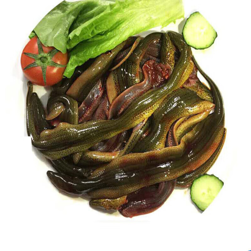 杀肚不去骨黄鳝片 杀后净重250克