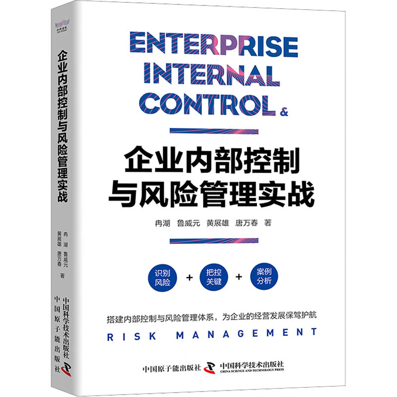 企业内部控制与风险管理实战 冉湖 等 书