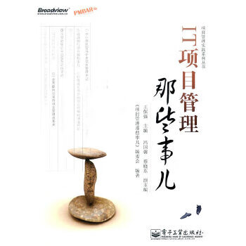 IT项目管理那些事儿【正版书籍】