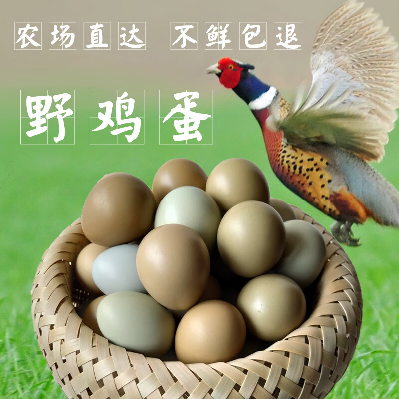 源客行 七彩山雞蛋60枚農(nóng)村雜糧散養(yǎng)野金雞蛋笨雞蛋秒發(fā)寶寶雞蛋 60枚