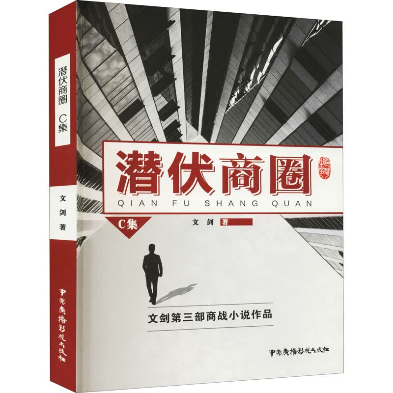 潜伏商圈 C集 图书