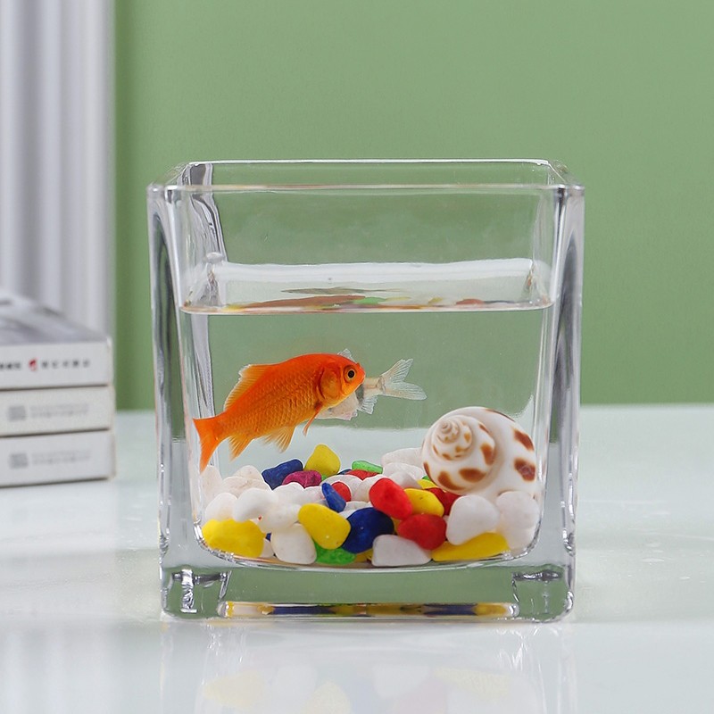 共度方形玻璃鱼缸真实使用感受,真相揭秘入手感受