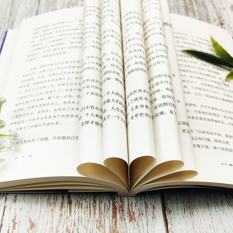 心的疗愈 心的重建和命运重建 情绪自救战胜焦虑积极心理学详情图