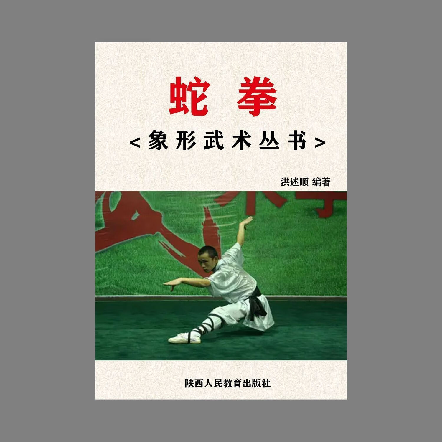象形武术丛书 蛇拳 洪述顺编著 自学中华传统武术书籍 88页 籍 88页