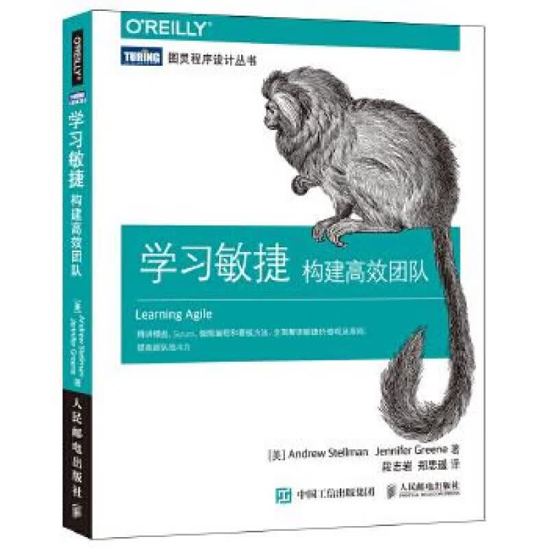 学习敏捷 构建高效团队(图灵出品)