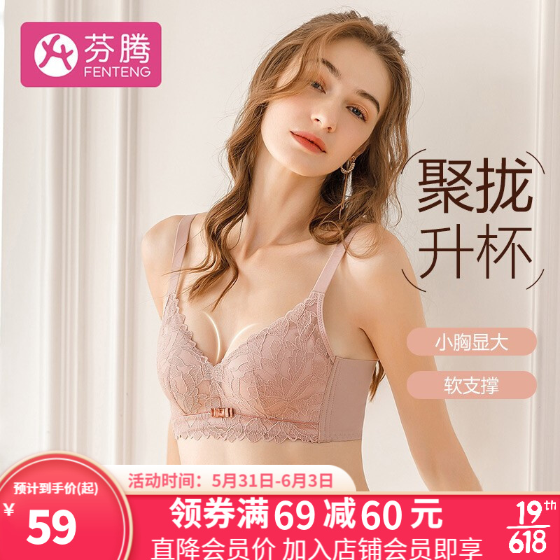 走近芬腾内衣女文胸蕾丝款:价格历史、新品评测与市场对比