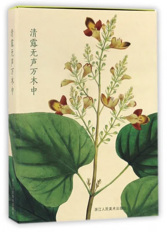 清露无声万木中(明信片)(精)