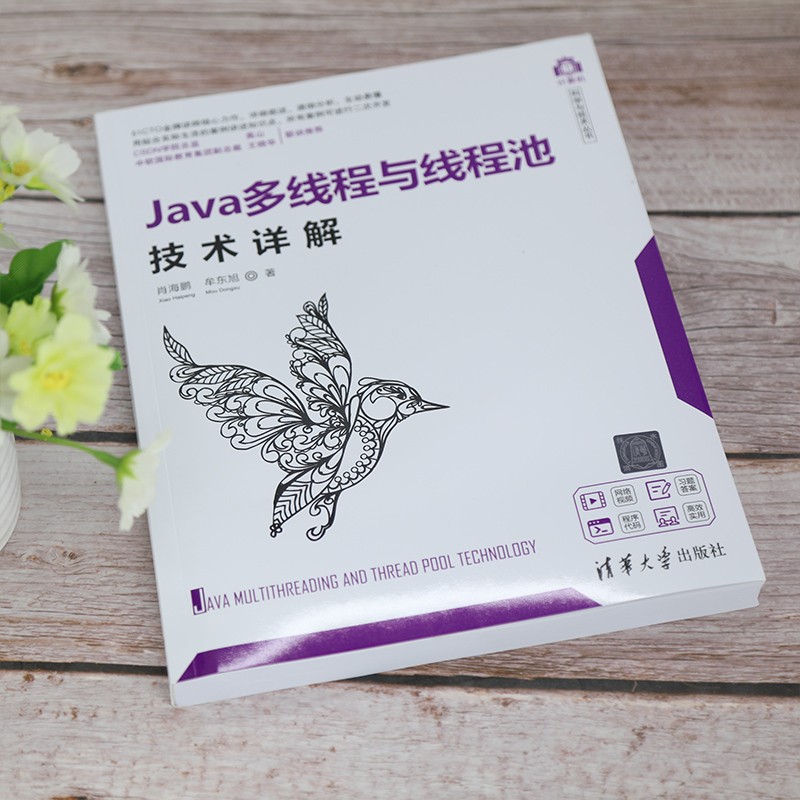 Java多线程与线程池技术详解/计算机科学与技术丛书