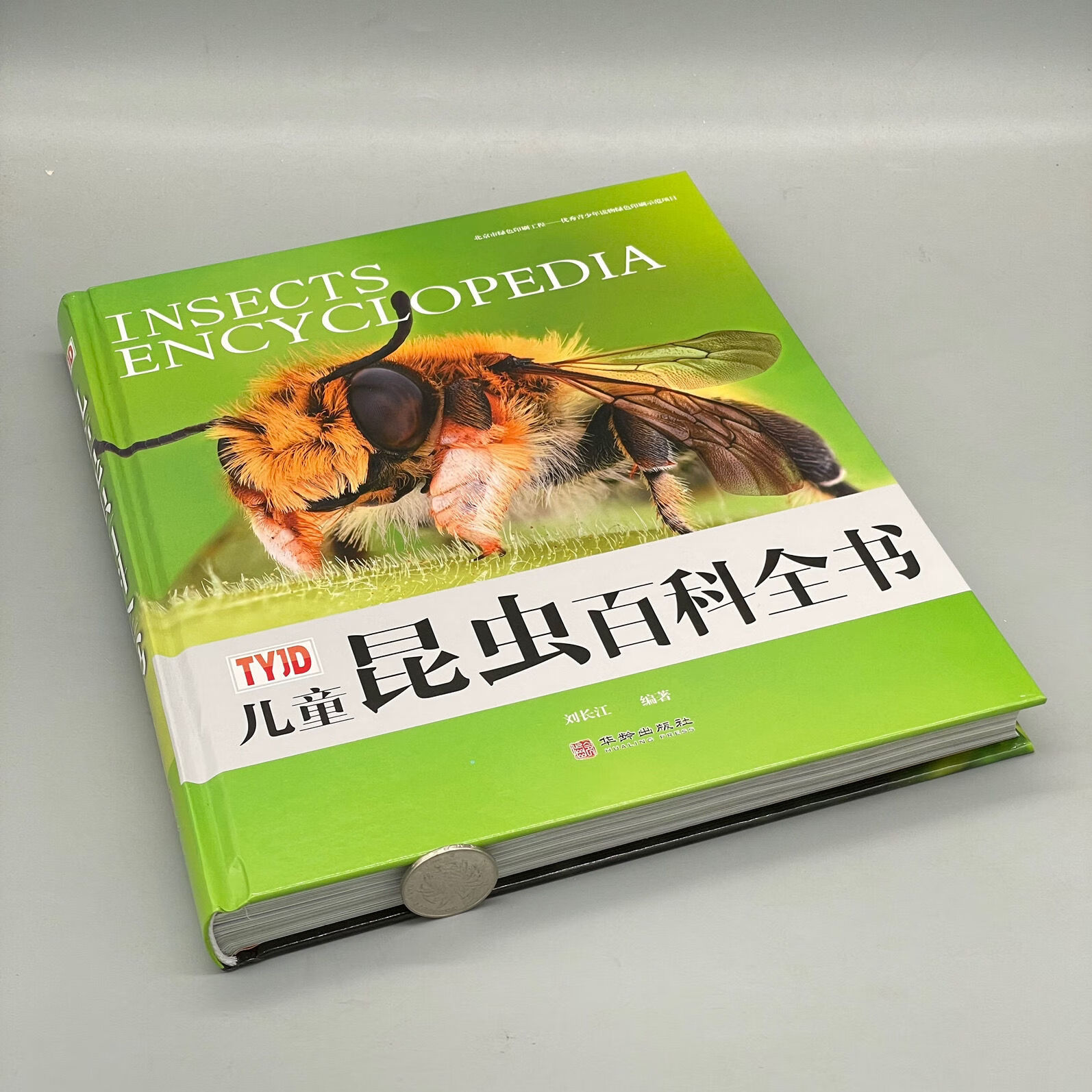 二手书彩色精装tyjd儿童昆虫百科全书 大开本 儿童科普百科全书 教师