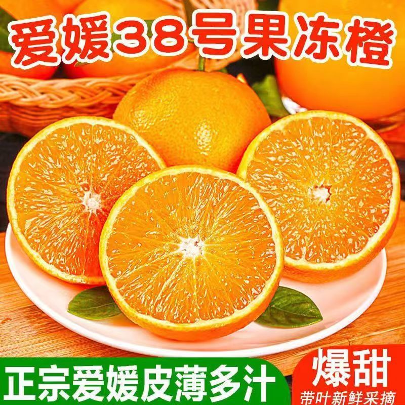文枝【顺丰可选】四川爱媛38号果冻橙 正宗孕妇新鲜水果柑橘橘子冻橙 60-70mm中果 5斤使用感如何?