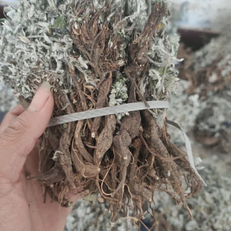 翻白草 【整棵带根】天青地白 晒干品 500克