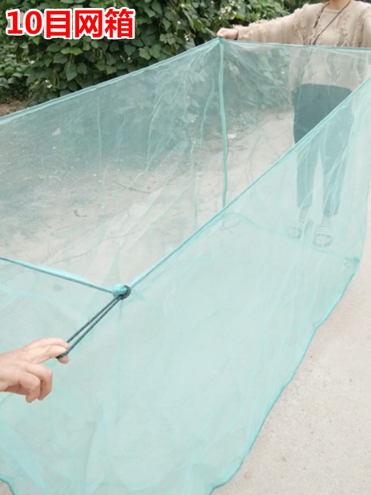 养殖网专用尼龙养箱鱼苗小渔网网袋网网兜黄鳝虾鳝鱼存鱼 长x宽x高) 1