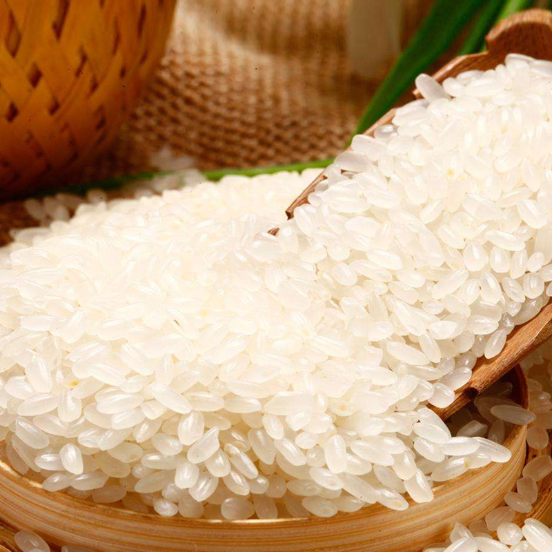 新米食为天苏北蟹田稻25kg50斤沿海滩涂鹤乡苏禾射阳大米