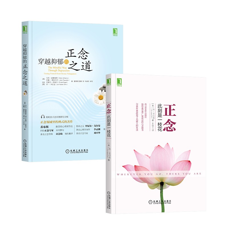 正念卡巴金经典系列 此刻是一枝花 穿越抑郁的正念之道 共2册