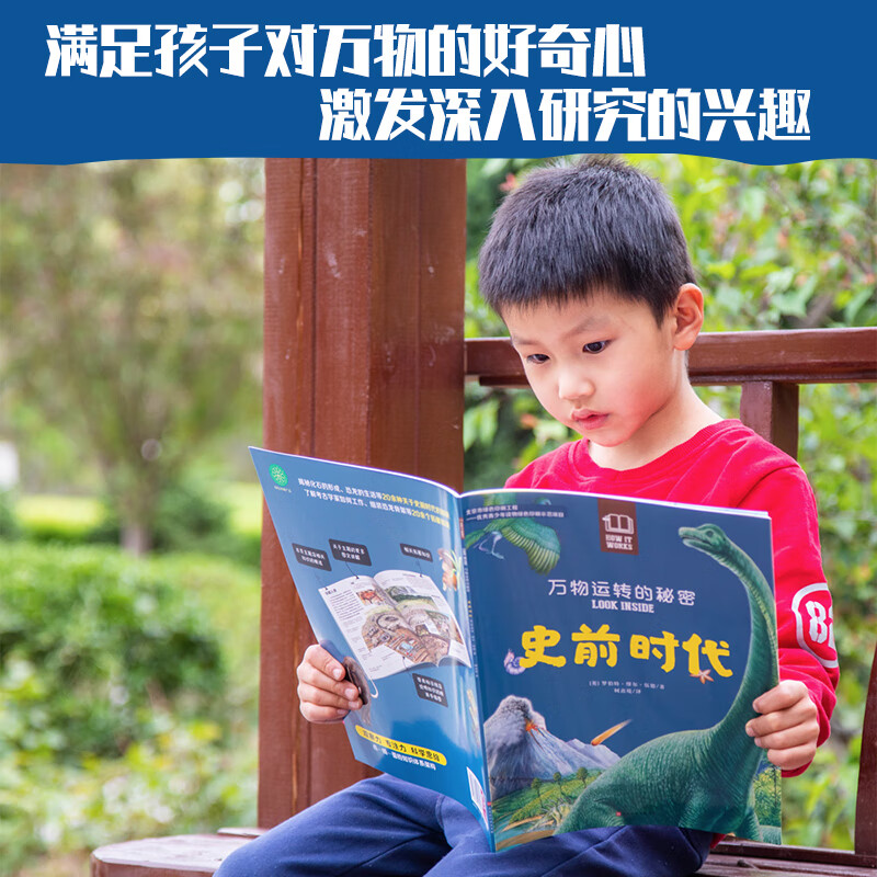 万物运转的秘密（全10册）儿童科普百科全书亲子共读启蒙读物博物大百科小学生 7-10-14岁一二三四五年级课外阅读 大开本更清晰 高清透视图