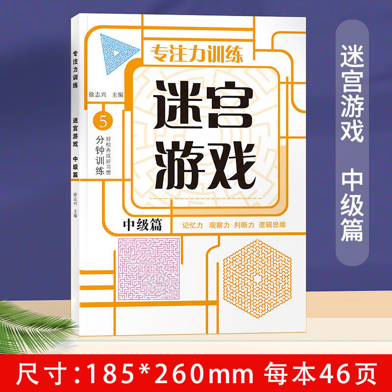 6-15岁孩子儿童迷宫游戏书数独四六九宫格左右脑思维逻辑训练玩具 迷宫游戏(中级篇) 无规格