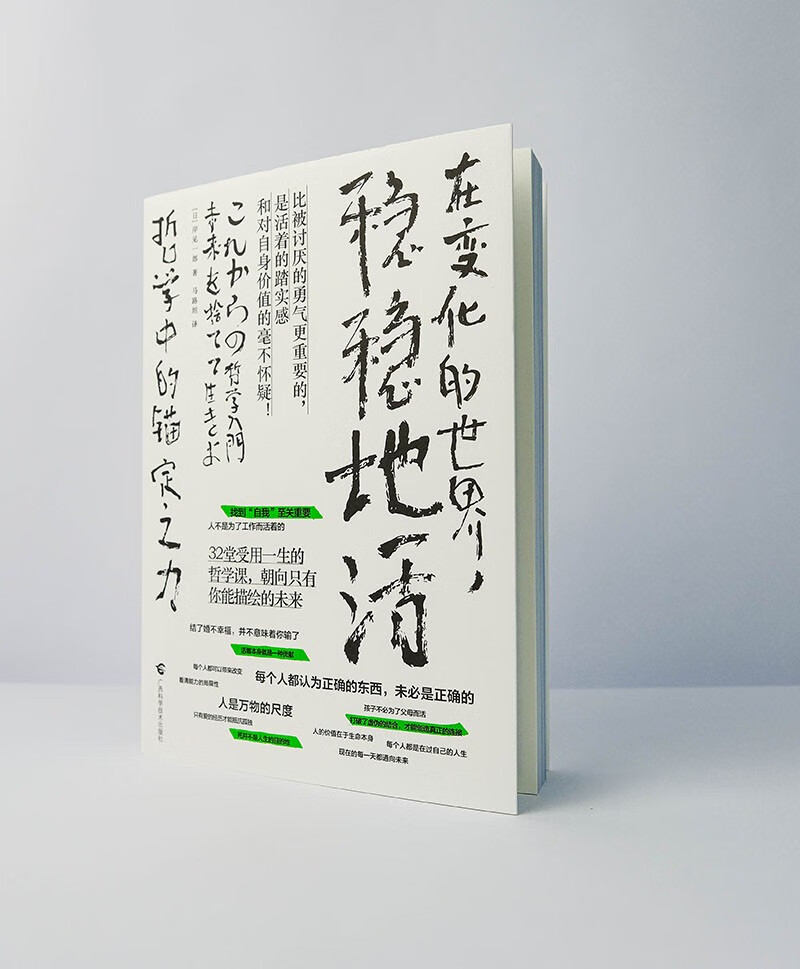 在变化的世界，稳稳地活：哲学中的锚定之力详情图