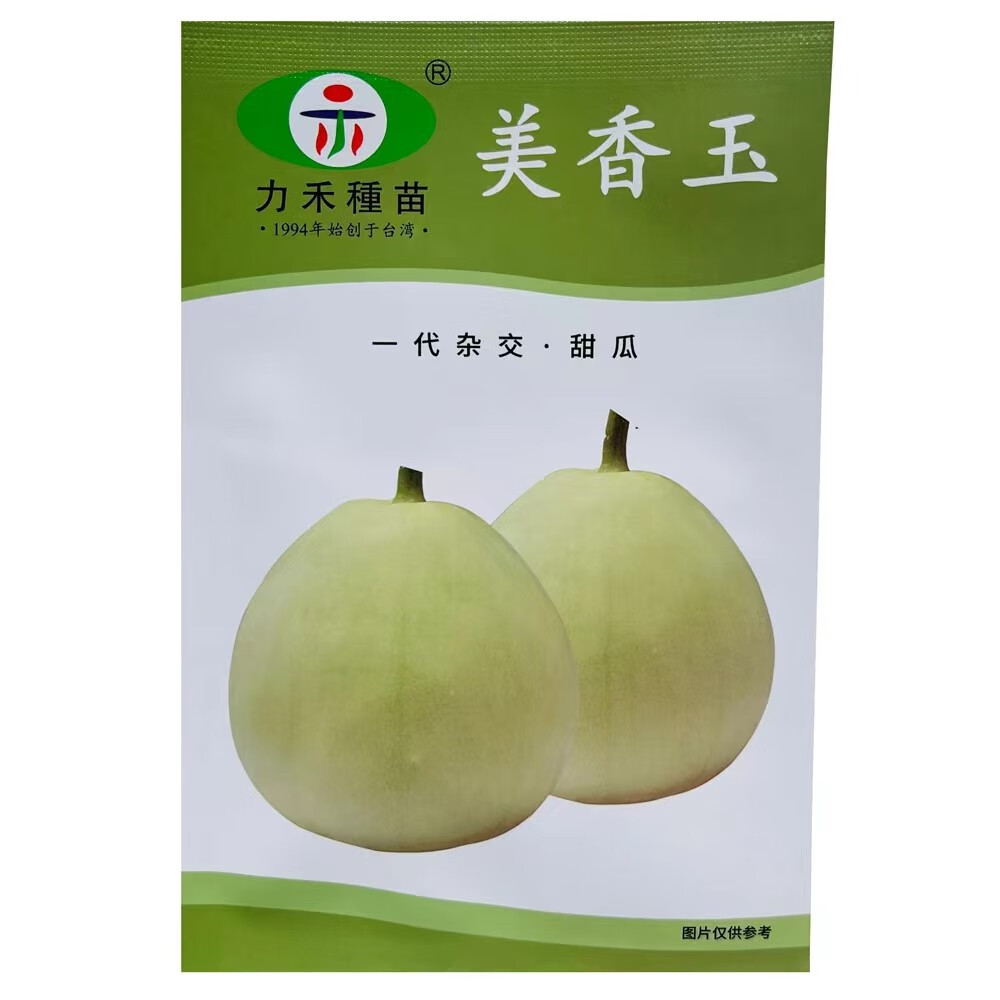 美香玉白皮甜瓜种子早高产抗病白粉病香瓜种籽南北方农家春秋季播 5克
