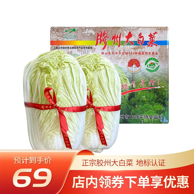 胶河源 胶州大白菜 新鲜当季蔬菜 山东特产白菜 核心产区产地直发 2颗装 8斤