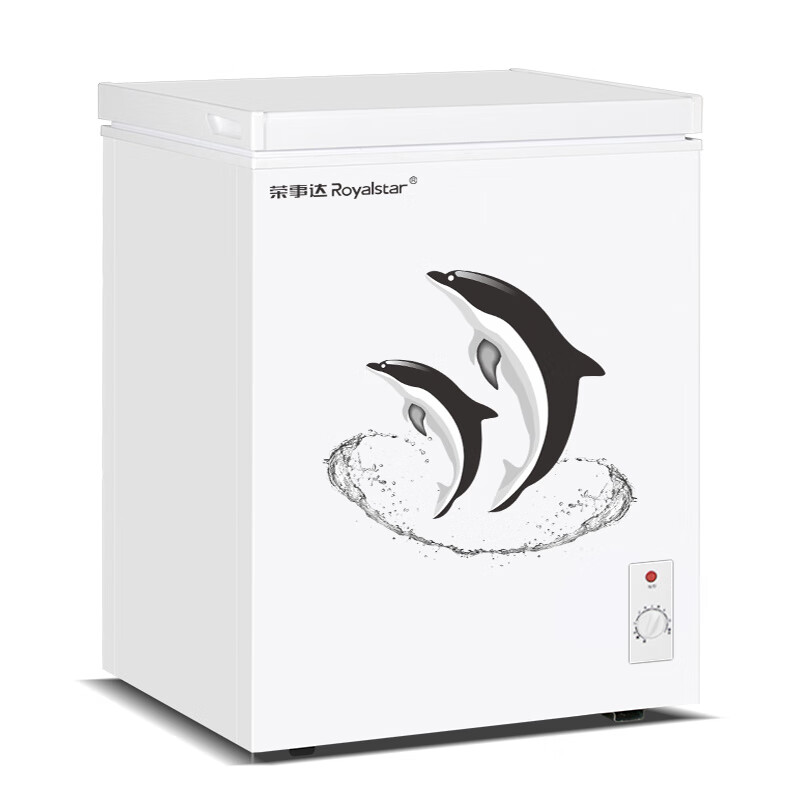 荣事达(Royalstar)家用冰柜冷藏冷冻转换柜 单门保鲜商用冷柜小型节能省电 110升