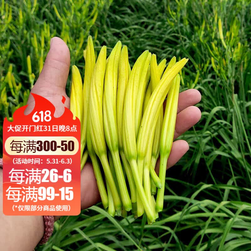 农之子 黄花菜种子籽食用黄花菜苗种苗 哈金龙黄花菜种子 50粒/袋
