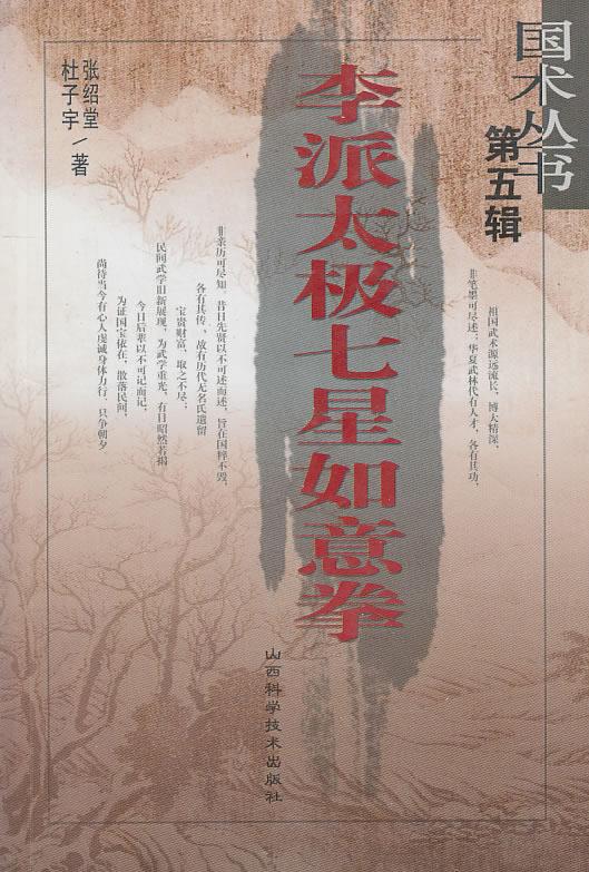 李派太极七星如意拳