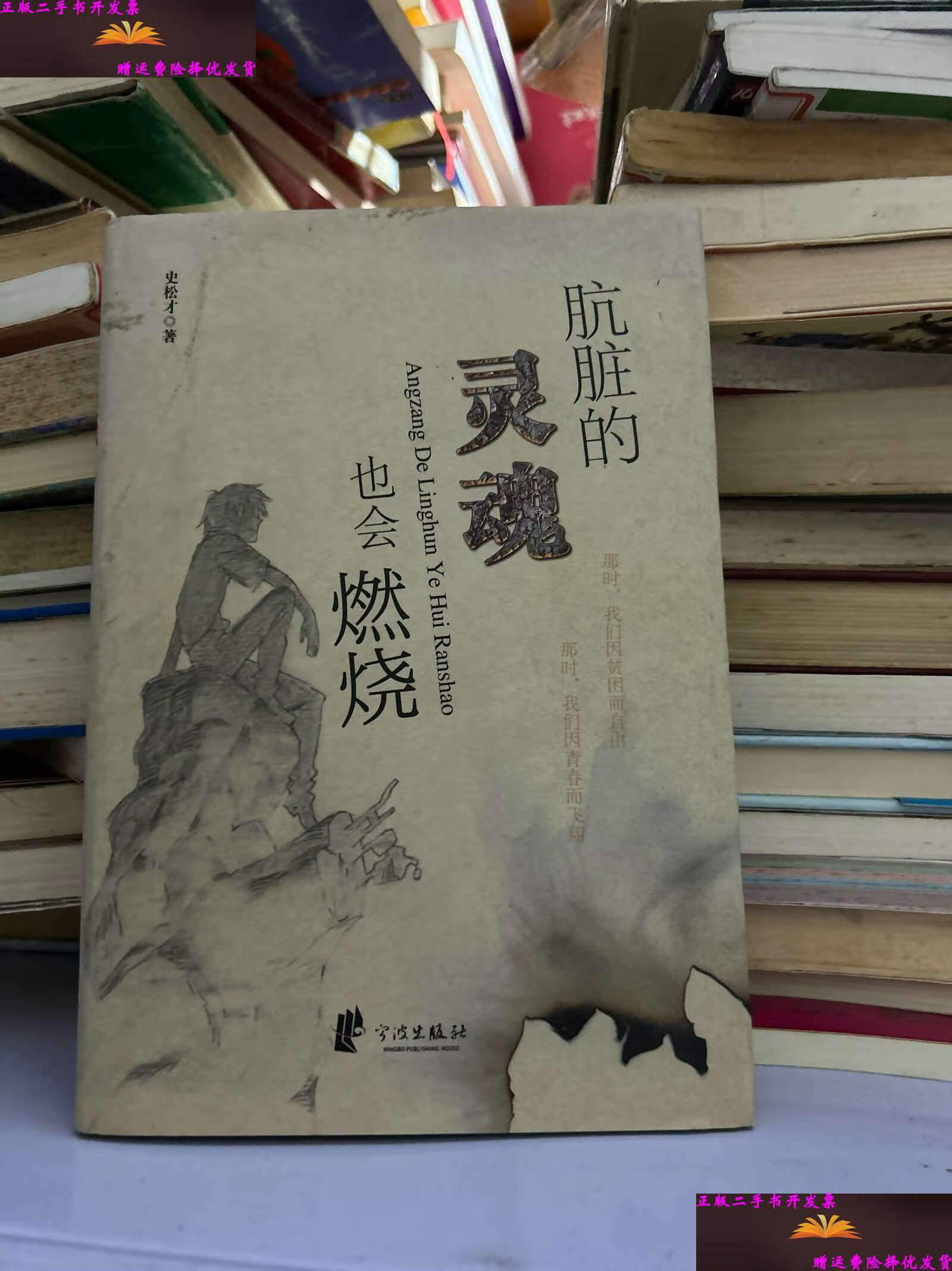 【二手9成新】肮脏的灵魂也会燃烧 /史松才 宁波