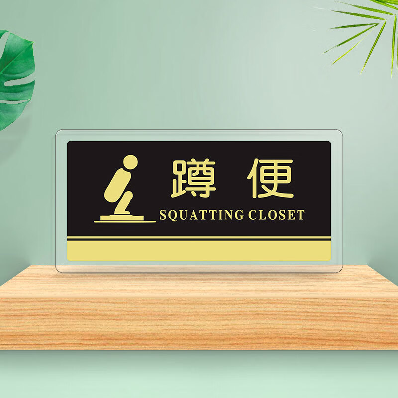 罗德力 亚克力标识牌 洗手间提示牌安全警示指示牌标识门牌 蹲便(24x