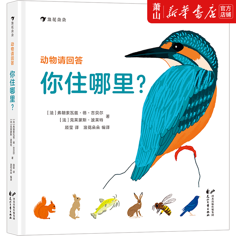 新华正版 动物请回答你住哪里精 花山文艺出版社 少儿百科 少儿百科