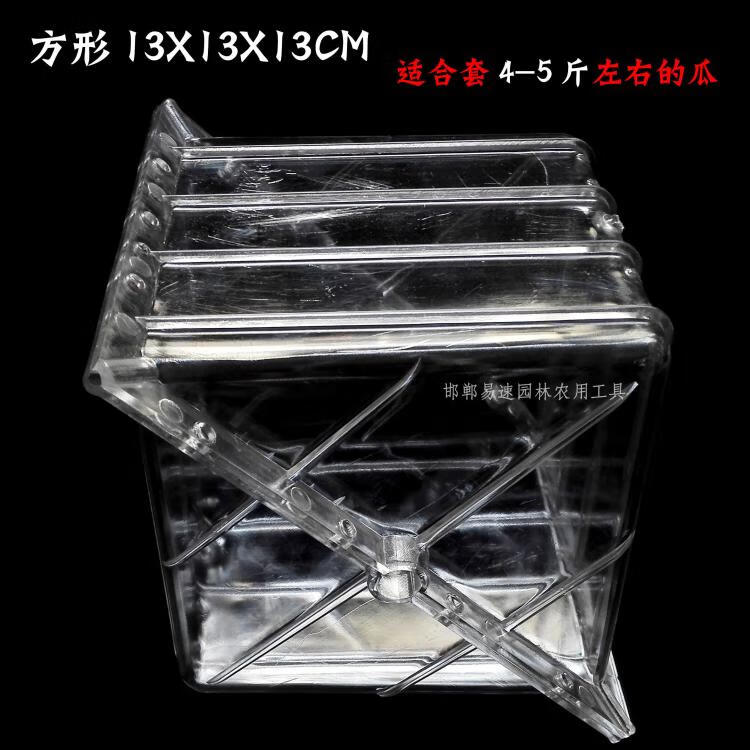 钰女方方形西瓜定形生长模具 心形西瓜模具 西瓜定形生长模子人参果