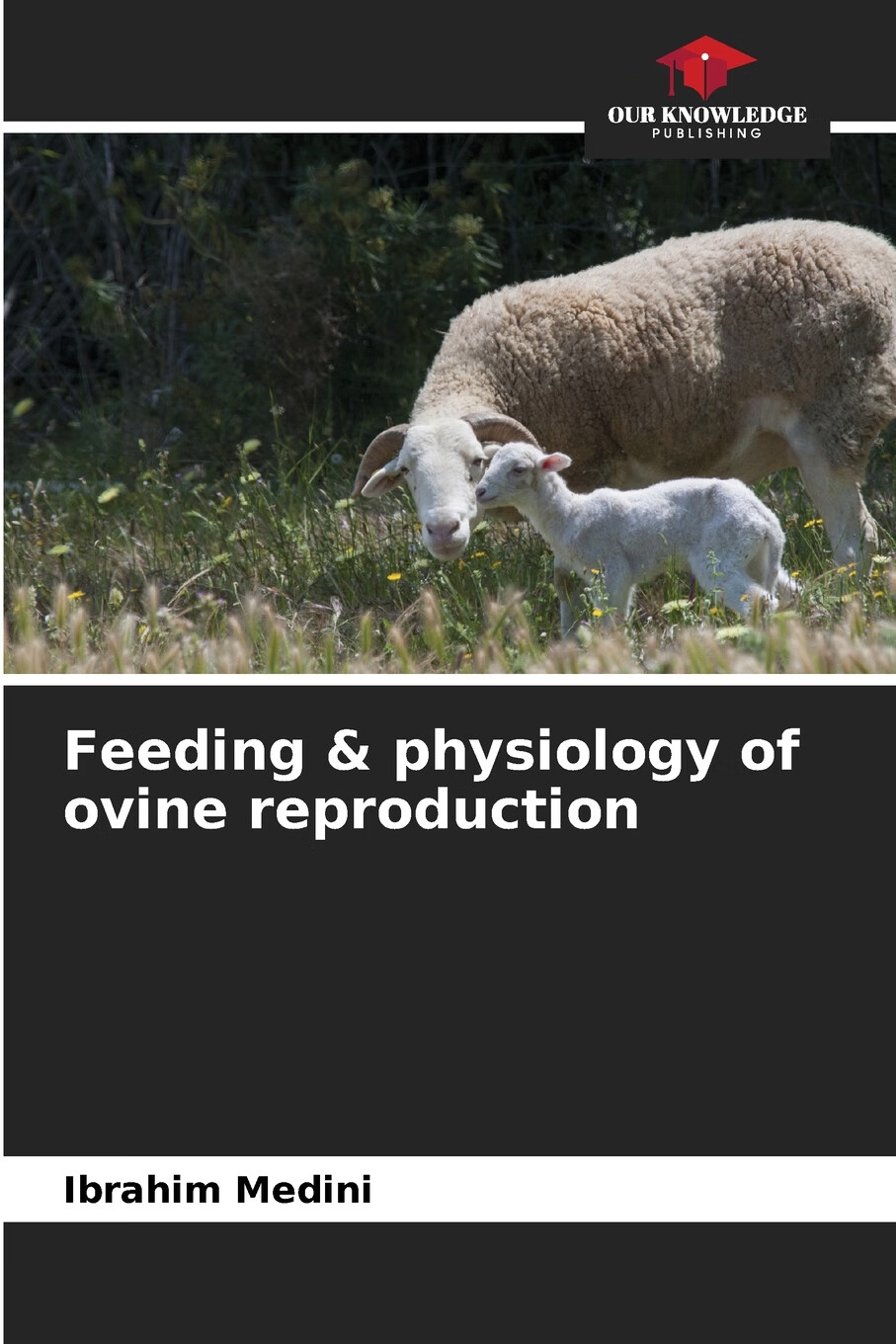 【预售 按需印刷】feeding & physiology of ovine reproduction