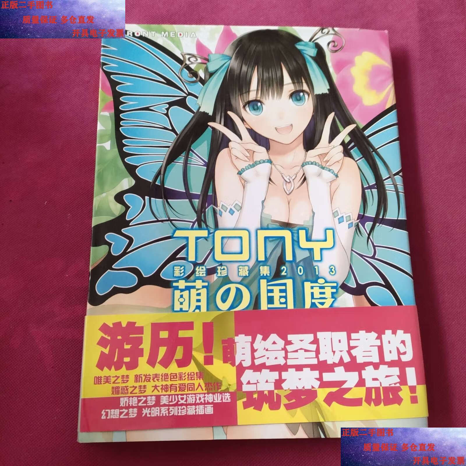 【二手9成新】tony彩绘珍藏集2013萌之国度 /不详 不详